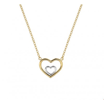 witgouden-hartje-in-gouden-hart-met-ketting-40-44-cm