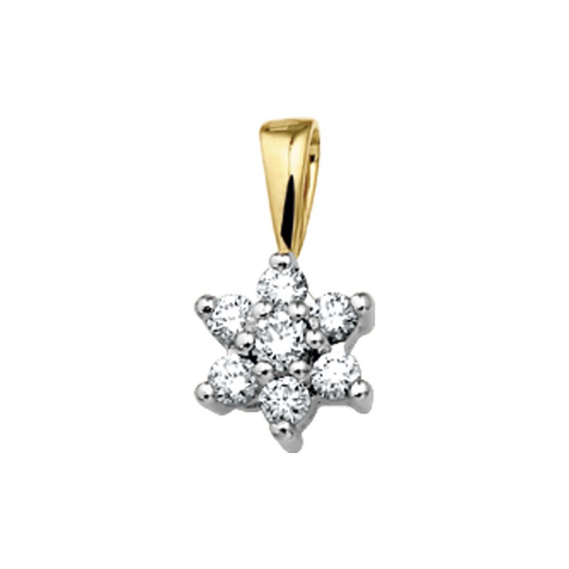 Wonder Atletisch Embryo Diamant hanger bicolor | Mostert Juweliers