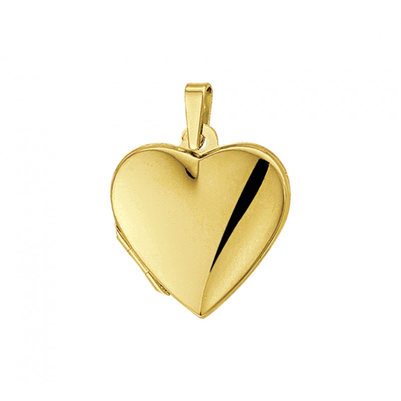 Pacifische eilanden Mammoet Ampère Gouden medaillon hanger hart glanzend 18.5x19 mm | Mostert Juweliers