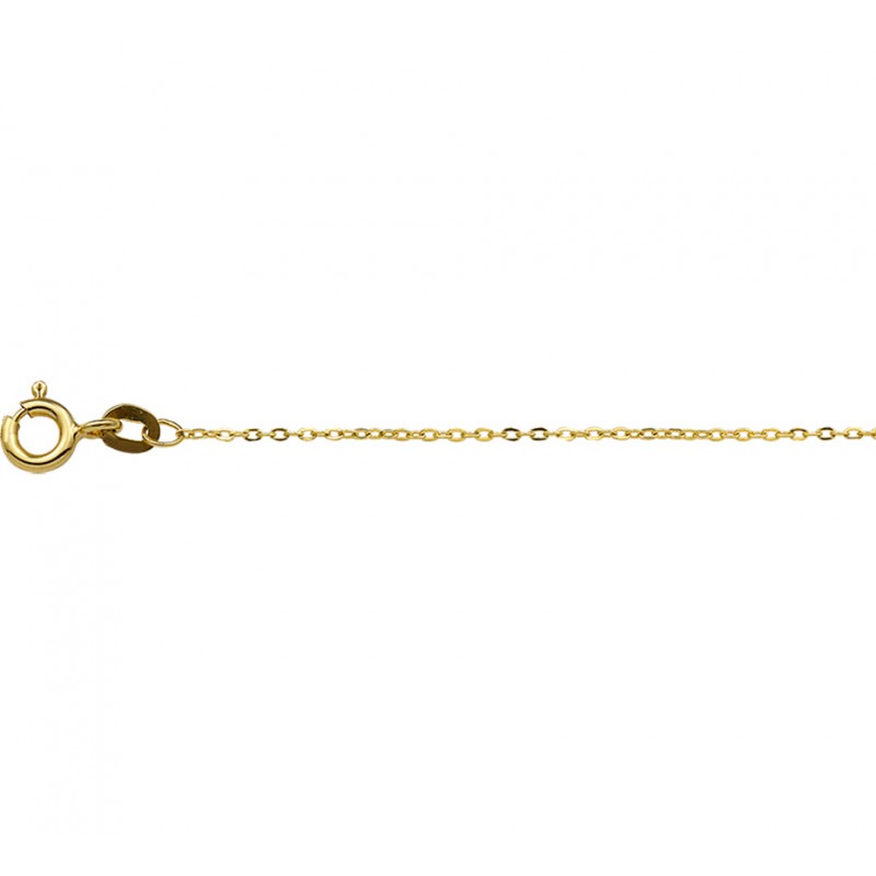 Ewell Pakistan Helderheid Gouden ketting zonder hanger anker 38-45 cm | Mostert Juweliers