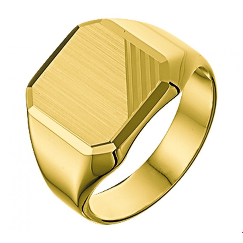 Briljant voor mij Implementeren Gouden zegelring heren effen oppervlakte massief | Mostert Juweliers
