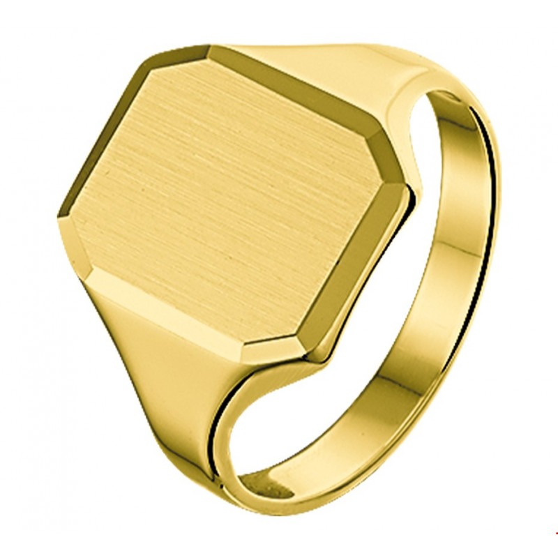 Airco Willen bestrating Mooie 14 karaat gouden zegelring heren massief | Mostert Juweliers